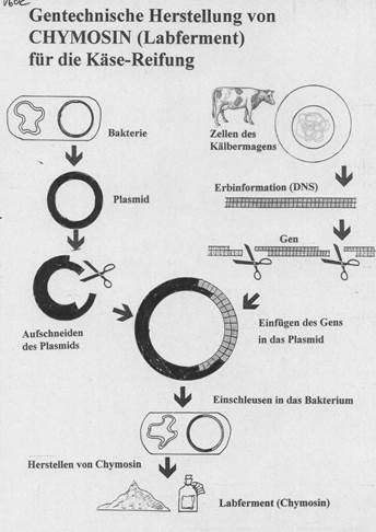 book kinetics of ion